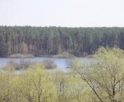 Коттеджный поселок «Васильково-2»